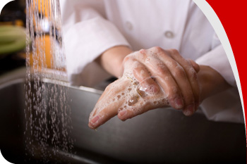 normas de seguridad y higiene de la cocina y distintivo H: distintivo h